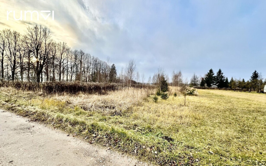 PARDUODAMAS 20 ARŲ GYVENAMOSIOS PASKIRTIES SKLYPAS PETRO LOČERIO G. 21, BIRŽŲ MIESTE 4