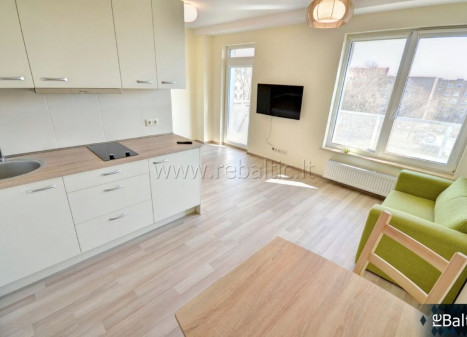 Nuomojamas butas Švitrigailos g., Naujamiestis, Vilniaus m., Vilniaus m. sav., 30 m2 ploto, 2 kambariai
