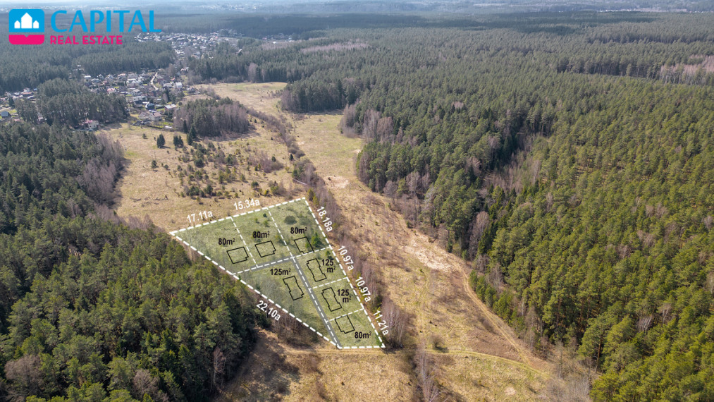 Parduodamas sklypas Sakiškių k., Vilniaus r. sav., 105 a ploto 4