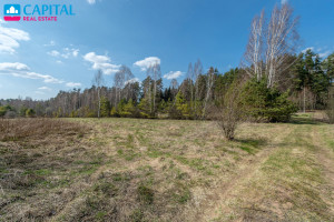 Parduodamas  sklypas Sakiškių k., Vilniaus r. sav., 105 a ploto 22