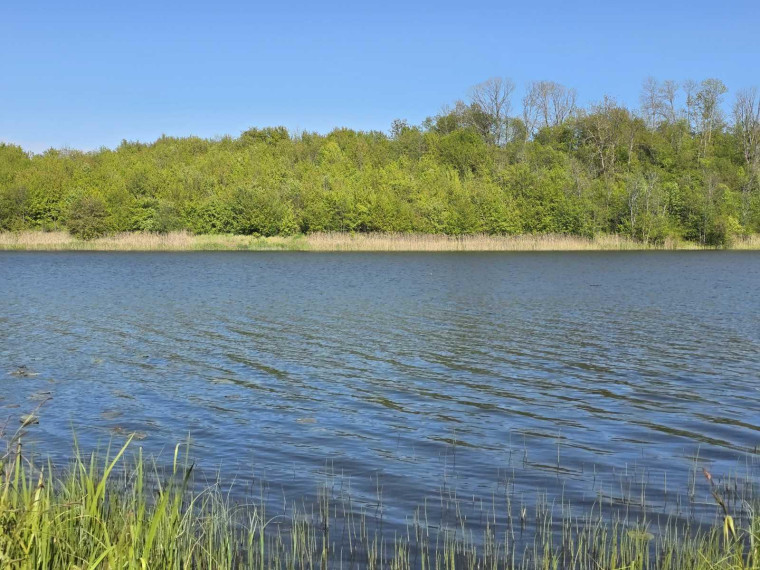 Parduodamas sklypas Staškūniškio k., Anykščių r. sav., 113.00 a ploto 2