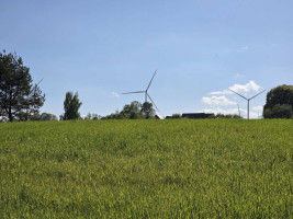 Parduodamas sklypas Staškūniškio k., Anykščių r. sav., 113.00 a ploto 4