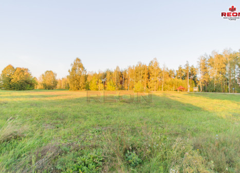 Parduodamas  sklypas Gailiūnų g., Gailiūnų k., Druskininkų sav., 41 a ploto