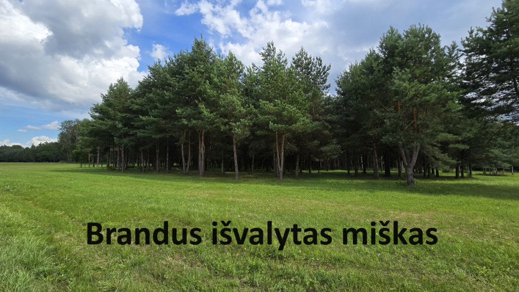 Parduodamas namų valdos paskirties sklypas Juodkų k., Širvintų r. sav., 36.38 a ploto 5