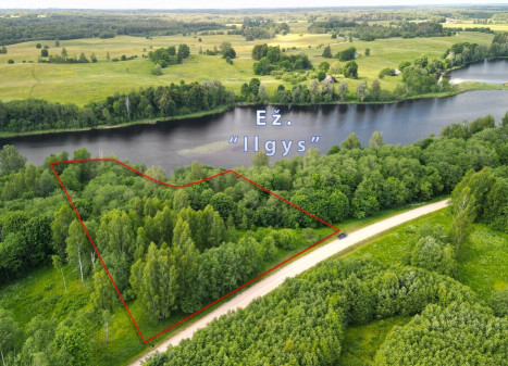 Parduodamas  sklypas Brinkliškių k., Utenos r. sav., 132 a ploto