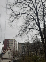 Parduodamas butas Sportininkų g., Sportininkai, Klaipėdos m., Klaipėdos m. sav., 44.00 m² ploto 2 kambariai 15