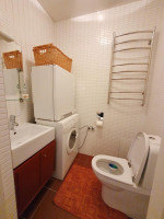 Nuomojamas butas Vasario 16-osios g., Centras, Kauno m., Kauno m. sav., 55 m² ploto 2 kambariai 9