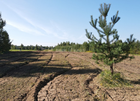 Parduodamas namų valdos paskirties sklypas Žydrių g., Lindiniškių k., Vilniaus r. sav., 13.7 a ploto
