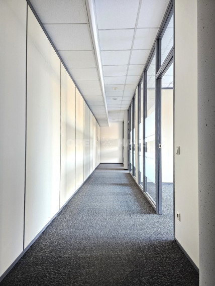 Nuomojamos administracinės patalpos Kęstučio g. , Žvėrynas, Vilniaus m., Vilniaus m. sav., 160 m2 ploto 3