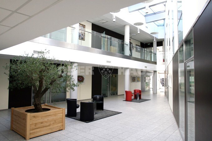Nuomojamos administracinės patalpos Kęstučio g. , Žvėrynas, Vilniaus m., Vilniaus m. sav., 160 m2 ploto 5