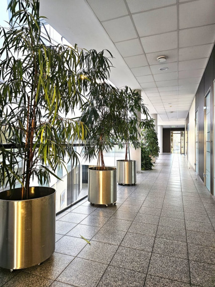 Nuomojamos administracinės patalpos Kęstučio g. , Žvėrynas, Vilniaus m., Vilniaus m. sav., 160 m2 ploto 6