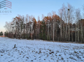 Parduodamas namas Nemuno g., Tolkūnų k., Alytaus r. sav., 100 m2 ploto, 2 aukštai 10