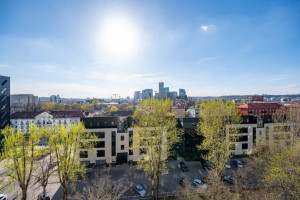 Parduodamas butas Rinktinės g., Žirmūnai, Vilniaus m., Vilniaus m. sav., 32.59 m2 ploto, 1 kambariai 9