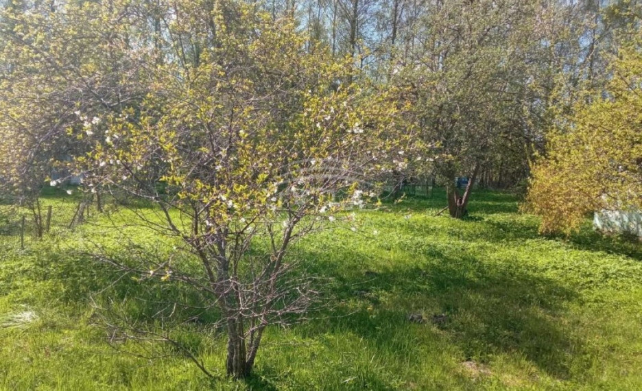 Parduodamas namas Daubėnų k., Kretingos r. sav., 36 m2 ploto, 2 aukštai 6