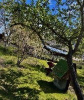 Parduodamas namas Derceklių k., Klaipėdos r. sav., 20 m2 ploto, 2 aukštai 4