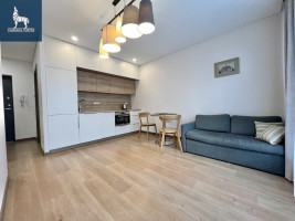 Nuomojamas butas Jurgio Lebedžio g., Baltupiai, Vilniaus m., Vilniaus m. sav., 31 m2 ploto, 2 kambariai 1