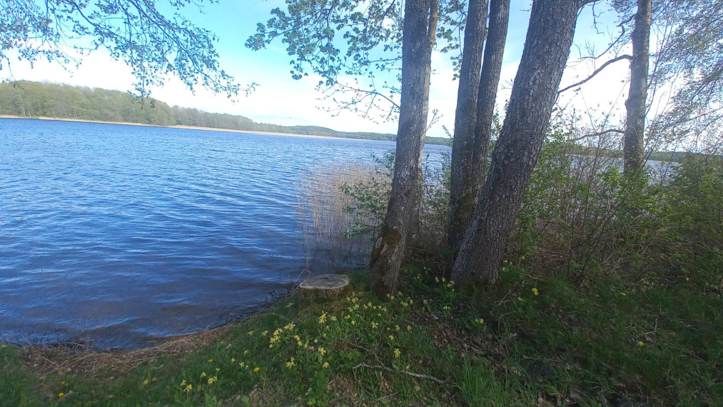 Parduodamas sklypas Žvejų g., Vėdarių k., Zarasų r. sav., 728.63 a ploto 5