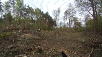 Parduodamas sklypas Nemunaičio k., Alytaus r. sav., 675.16 a ploto 8