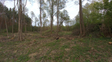 Parduodamas sklypas Nemunaičio k., Alytaus r. sav., 675.16 a ploto 9