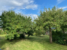 Parduodamas namas Laužų g., Derceklių k., Klaipėdos r. sav., 96.00 m² ploto 2 kambariai 21