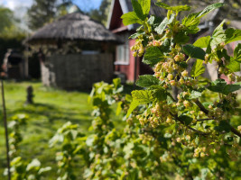 Parduodamas namas Vosgėlių k., Utenos r. sav., 86 m² ploto 4 kambariai 17