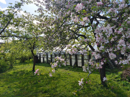 Parduodamas namas Vosgėlių k., Utenos r. sav., 86 m² ploto 4 kambariai 19
