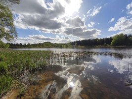 Parduodamas namas Vosgėlių k., Utenos r. sav., 86 m² ploto 4 kambariai 21