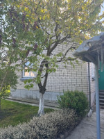 Parduodamas namas Derceklių k., Klaipėdos r. sav., 77 m2 ploto, 2 aukštai 4