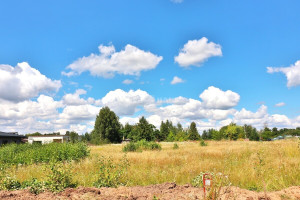 Parduodamas namų valdos paskirties sklypas Beržyno g. , Vaivadų k., Panevėžio r. sav., 15 a ploto 2