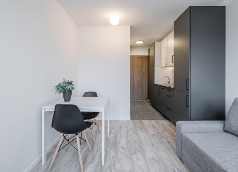 Nuomojamas butas Studentų g., Žvėrynas, Vilniaus m., Vilniaus m. sav., 17.18 m² ploto 1 kambarys
