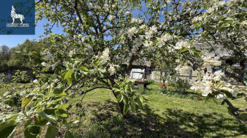 Parduodamas kitos paskirties sklypas Pamerkio k., Šalčininkų r. sav., 590 a ploto 7