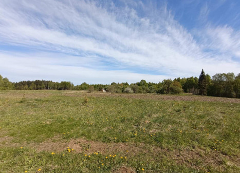 Parduodamas sklypas Česlovo Milošo g., Pūstalaukio k., Vilniaus r. sav., 813.00 a ploto