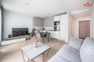 Parduodamas butas Budiniškių g., Pašilaičiai, Vilniaus m., Vilniaus m. sav., 65 m2 ploto, 3 kambariai 4
