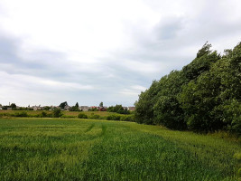 Parduodamas sklypas Ežero g., Antakalnio k., Kaišiadorių r. sav., 34 a ploto 3