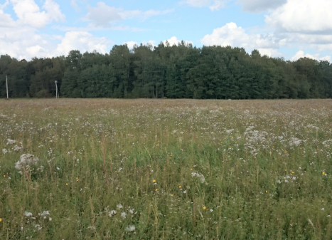 Parduodamas sklypas Prienų k., Širvintų r. sav., 1012.11 a ploto