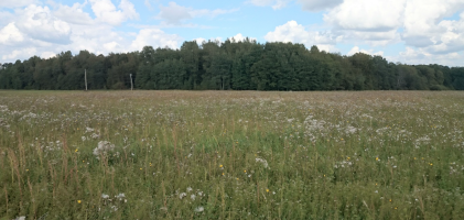 Parduodamas sklypas Prienų k., Širvintų r. sav., 1012.11 a ploto 1