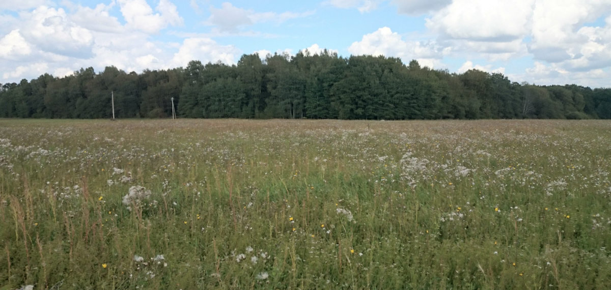 Parduodamas sklypas Prienų k., Širvintų r. sav., 1012.11 a ploto 1