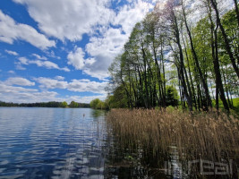 Prie Pakalo ež., Ignalinos raj. parduodamas didelis, išskirtinis sklypas besiribojantis su ežero pakrante net 1200 metrų. 2