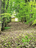 Prie Pakalo ež., Ignalinos raj. parduodamas didelis, išskirtinis sklypas besiribojantis su ežero pakrante net 1200 metrų. 14