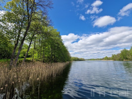 Prie Pakalo ež., Ignalinos raj. parduodamas didelis, išskirtinis sklypas besiribojantis su ežero pakrante net 1200 metrų. 26
