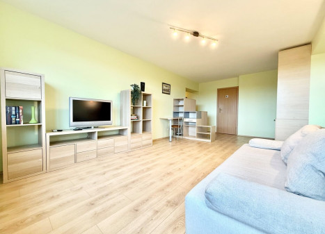 Nuomojamas butas Krokuvos g., Šnipiškės, Vilniaus m., Vilniaus m. sav., 67 m2 ploto, 2 kambariai
