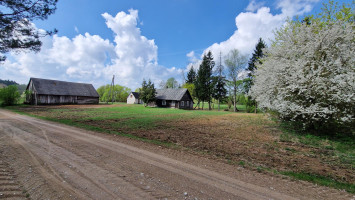 Parduodamas namas Čiūrų g., Čiūrų k., Panevėžio r. sav., 65.00 m² ploto 3 kambariai 2