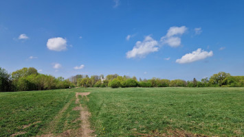 Parduodamas namas Čiūrų g., Čiūrų k., Panevėžio r. sav., 65.00 m² ploto 3 kambariai 10