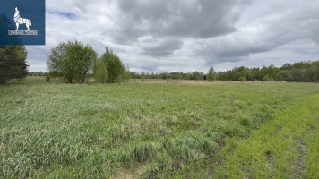 Parduodamas  sklypas Trakiškio k., Panevėžio r. sav., 54 a ploto 4