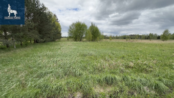 Parduodamas  sklypas Trakiškio k., Panevėžio r. sav., 54 a ploto 5