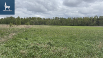Parduodamas  sklypas Trakiškio k., Panevėžio r. sav., 54 a ploto 7