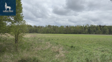 Parduodamas  sklypas Trakiškio k., Panevėžio r. sav., 54 a ploto 8