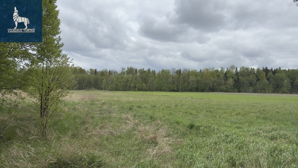 Parduodamas  sklypas Trakiškio k., Panevėžio r. sav., 54 a ploto 8