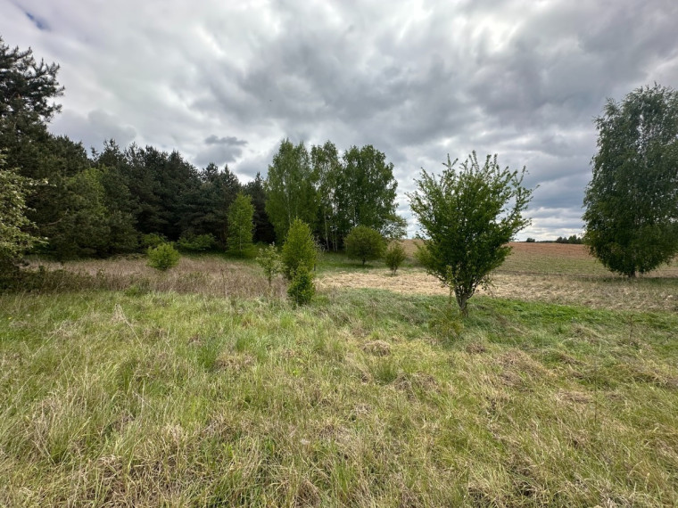 Parduodamas kitos paskirties sklypas Alytaus r. sav., Užupių k., Miškininkų g.16 A, 19.8 a ploto 5