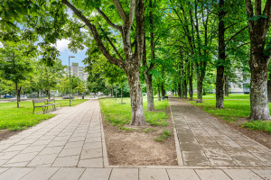 Nuomojamas butas Tuskulėnų g., Šnipiškės, Vilniaus m., Vilniaus m. sav., 60 m2 ploto, 3 kambariai 27